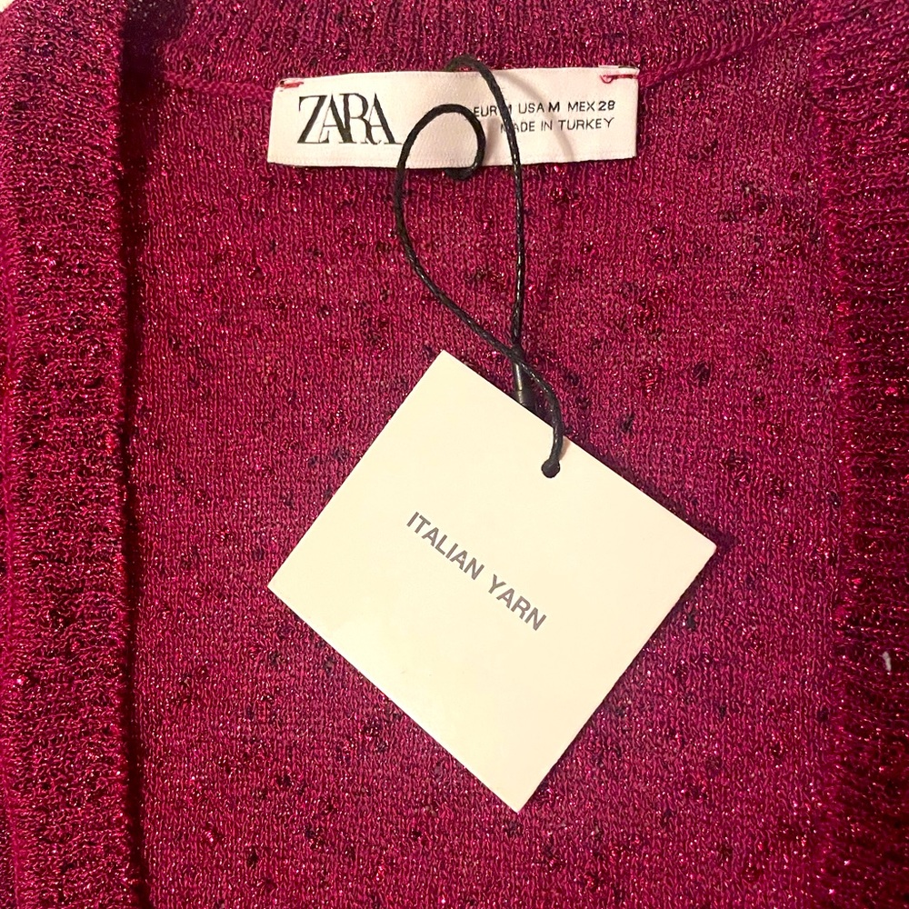 Zara maroon shine top